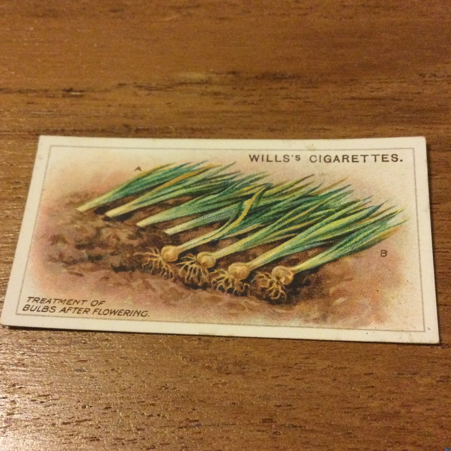 Wills Cigarette Cards GARDENING HINTS 1938. Sold individually so take your pick.