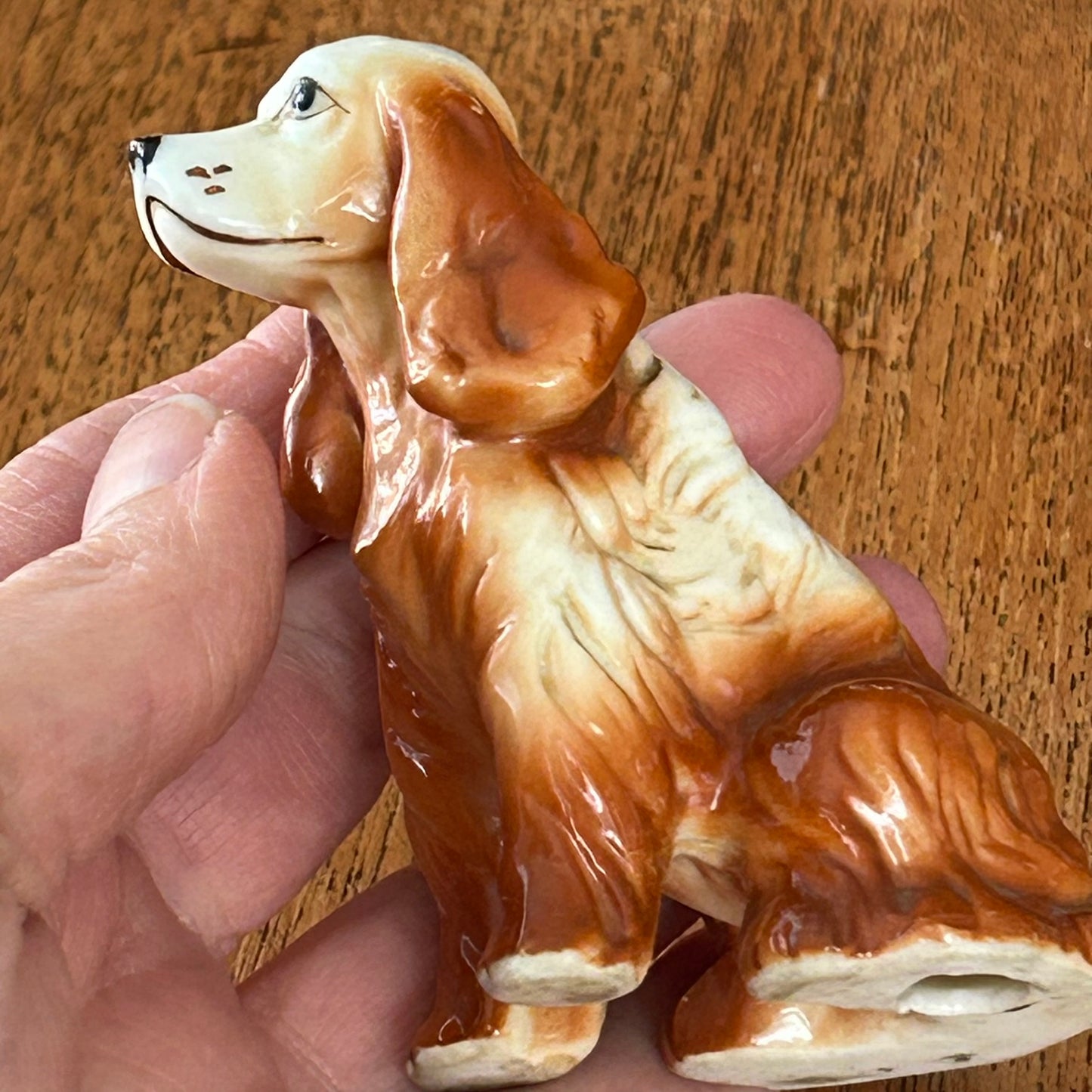 Beautiful Spaniel Dog Ornament / Figurine. Dog Lovers Gift Approx 8 cm high. Brown and white.