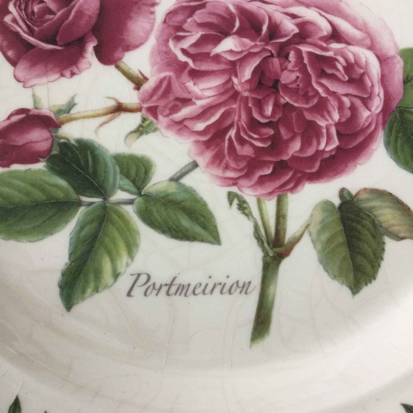 Portmeirion Botanic Roses Dinner Plate – 10.5 inches – Crazed – Vintage Pink Rose Design – Collectible