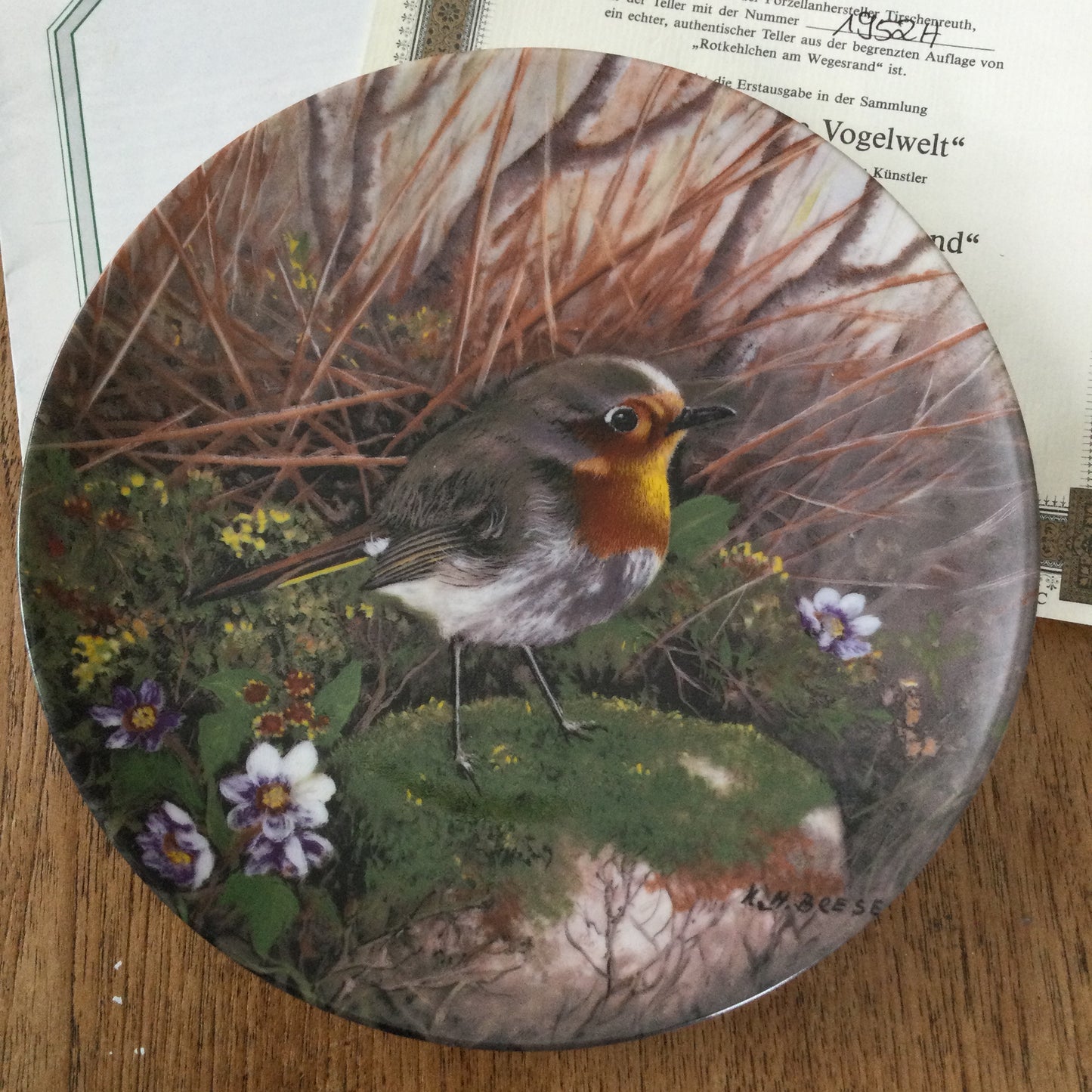 Tirschenreuth Bavaria collectible plate. 'Unsere kleine Vogelwelt' series. 'Rotkehlchen am Wegesrand' No.1952. Pretty robin plate.