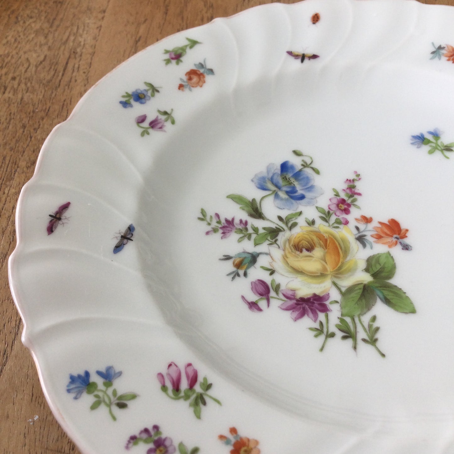 Vintage H & C Czechoslovakia Porcelain Plate – Fancy Edge with Flowers, Butterflies, and Insects – 8 inches