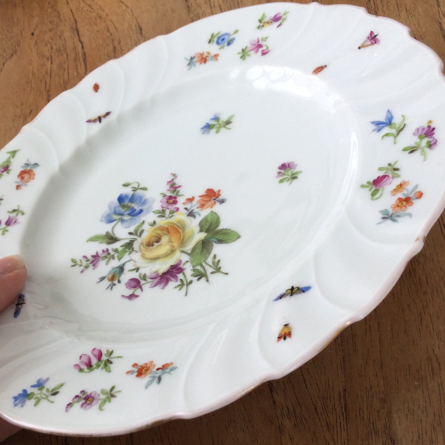 Vintage H & C Czechoslovakia Porcelain Plate – Fancy Edge with Flowers, Butterflies, and Insects – 8 inches