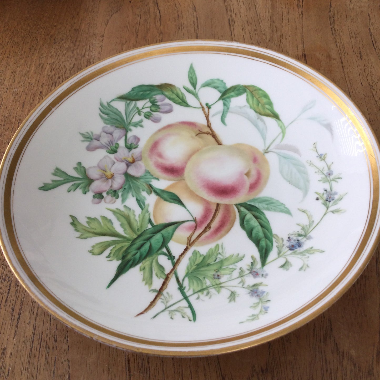 Dresden Shallow Bowl – Hand Painted Peach Fruit and Blossom Design – Gold Rim – Decorative Piece