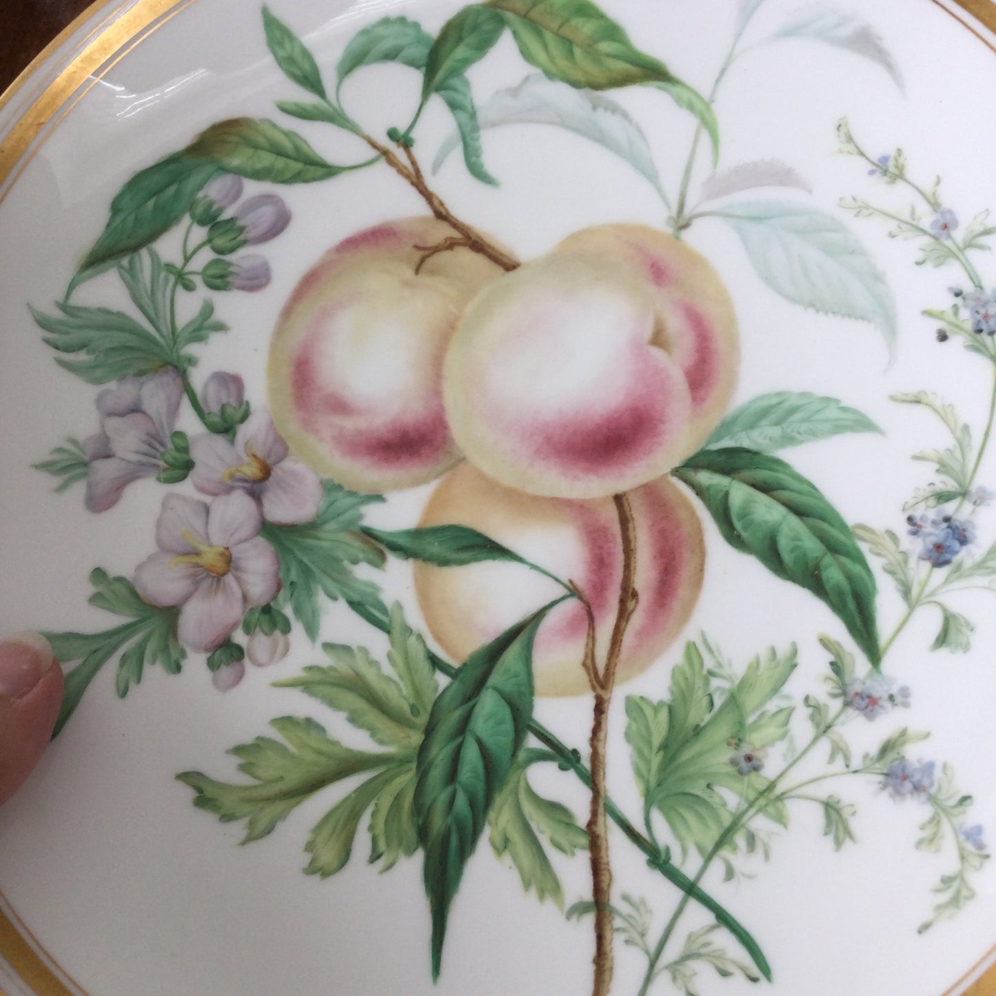 Dresden Shallow Bowl – Hand Painted Peach Fruit and Blossom Design – Gold Rim – Decorative Piece