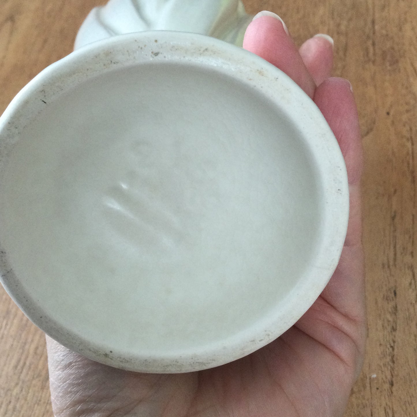 SylvaC Hyacinth Reed Vase – Cream | Pattern 2452 | Textured Leaf Design | Mid-Century Ceramic