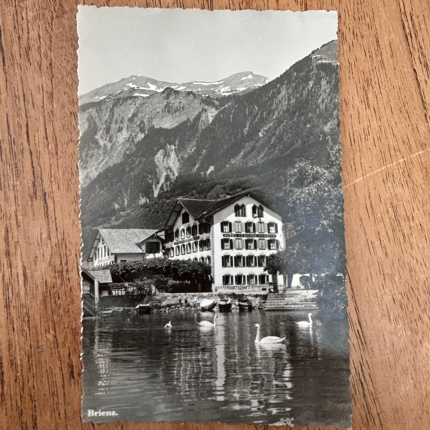 Vintage Postcard - SWITZERLAND - Hotel Baren in Brienz - Mountains in background and swans on lake