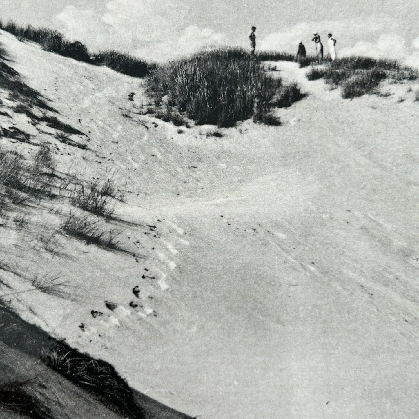 Vintage Postcard - DENMARK - Sondervig - Sand Dunes - Black and white