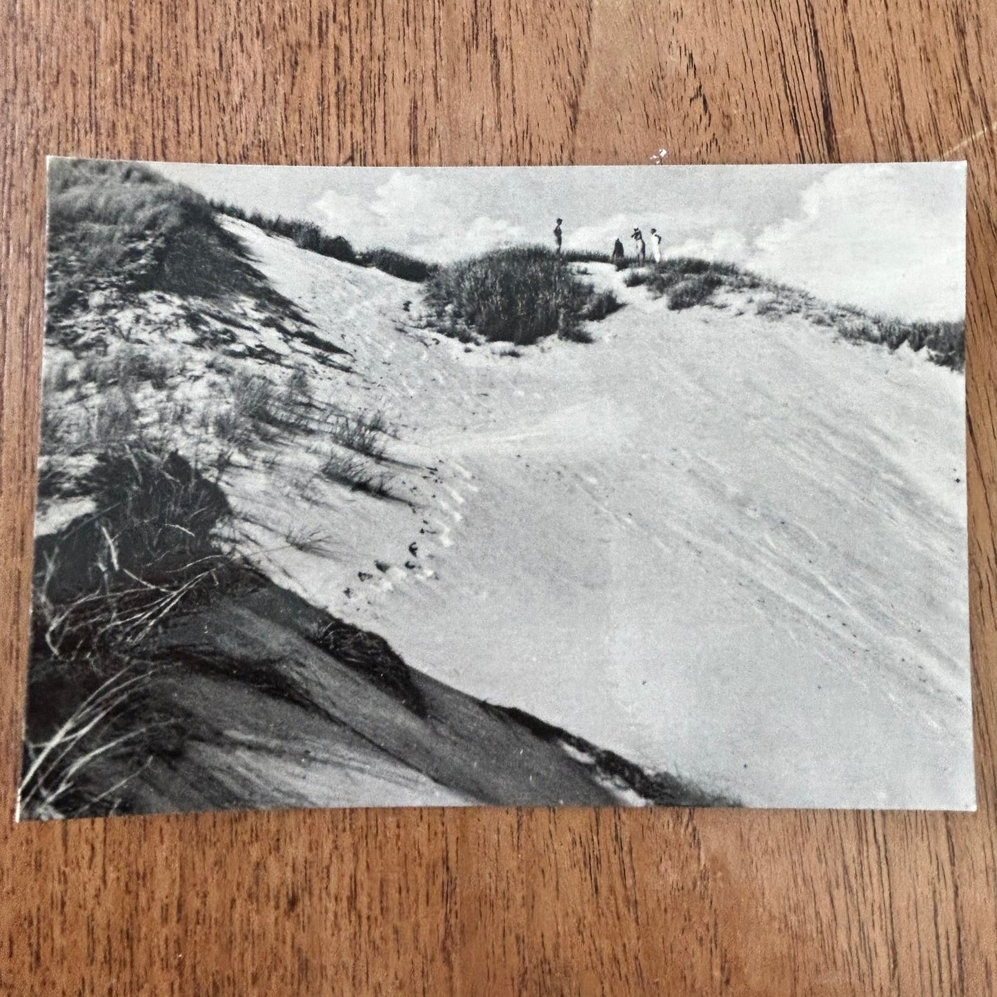 Vintage Postcard - DENMARK - Sondervig - Sand Dunes - Black and white