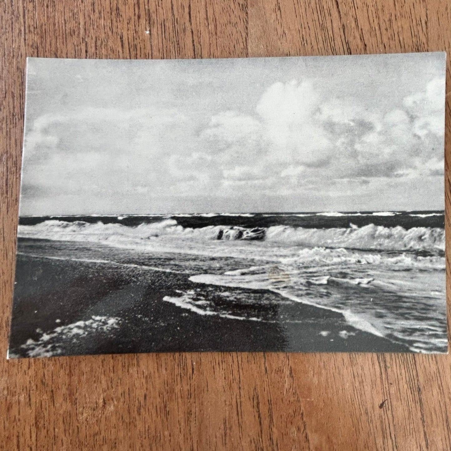 Vintage Postcard - DENMARK - Lavbraending ved Holmslands Klit. - Seascape- Black and white
