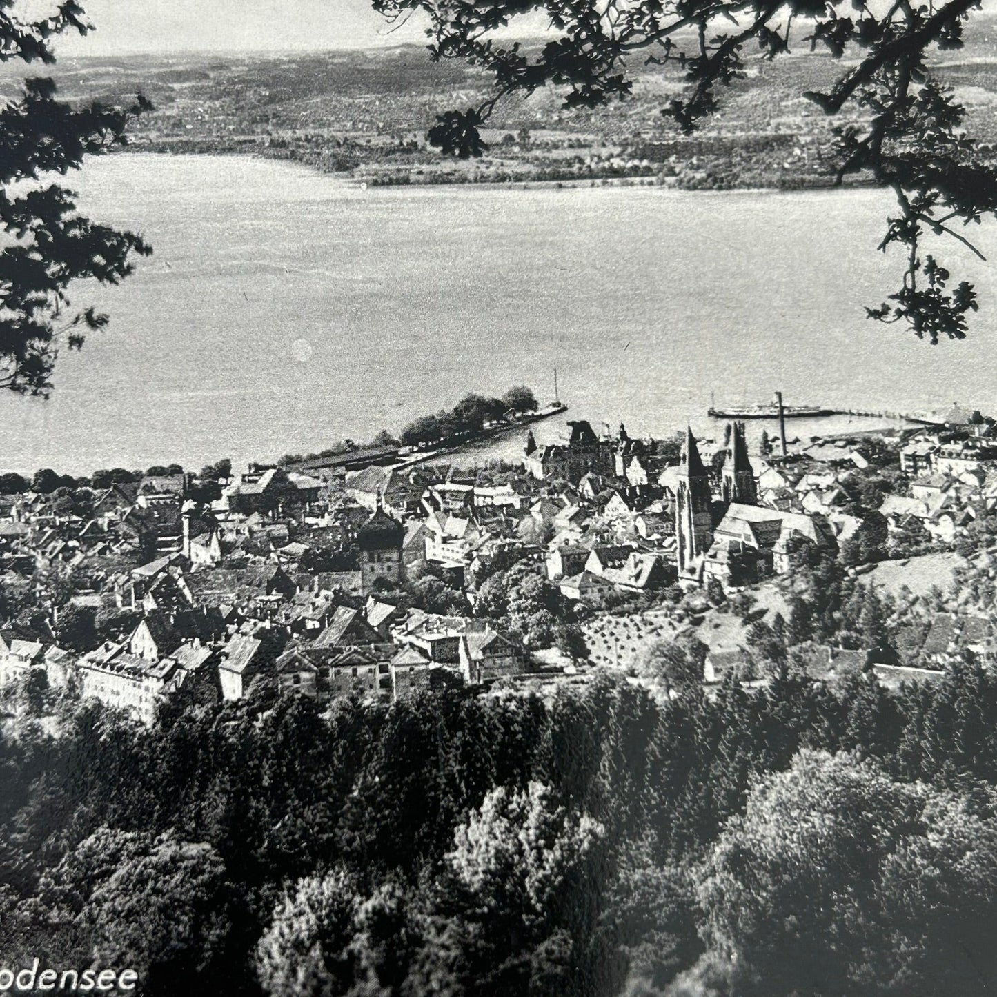 Vintage postcard 1920s / 1930s - AUSTRIA - Bregenz am Bodensee - View of the coastline - Black and white