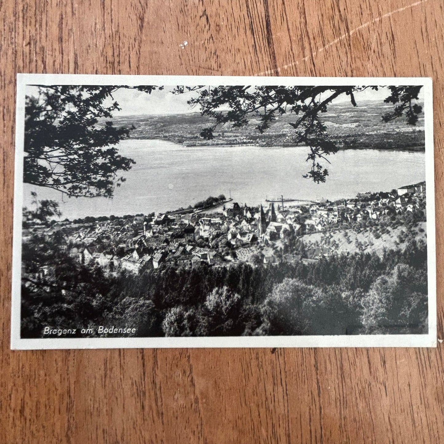 Vintage postcard 1920s / 1930s - AUSTRIA - Bregenz am Bodensee - View of the coastline - Black and white