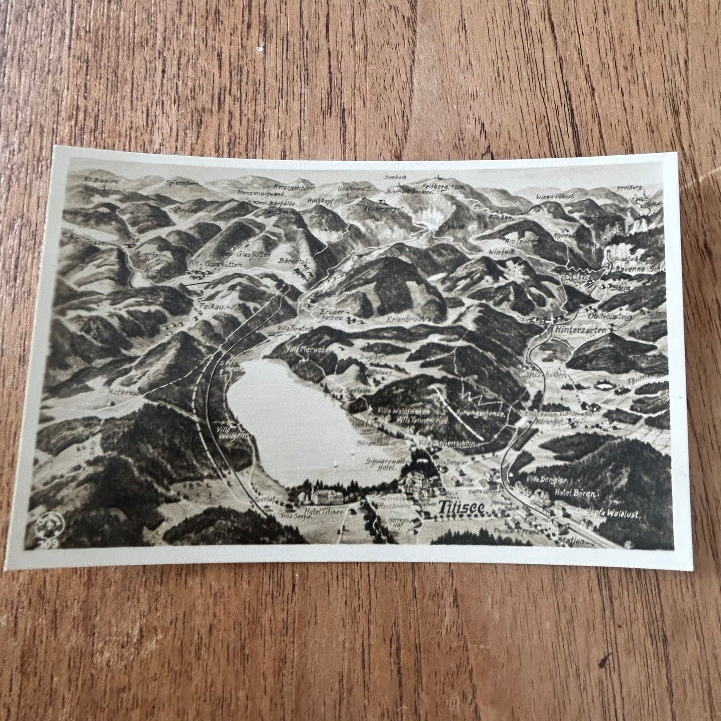 Vintage postcard - GERMANY - Titisee - Aerial View Drawing - Schwarzwald Hotel - Black and white