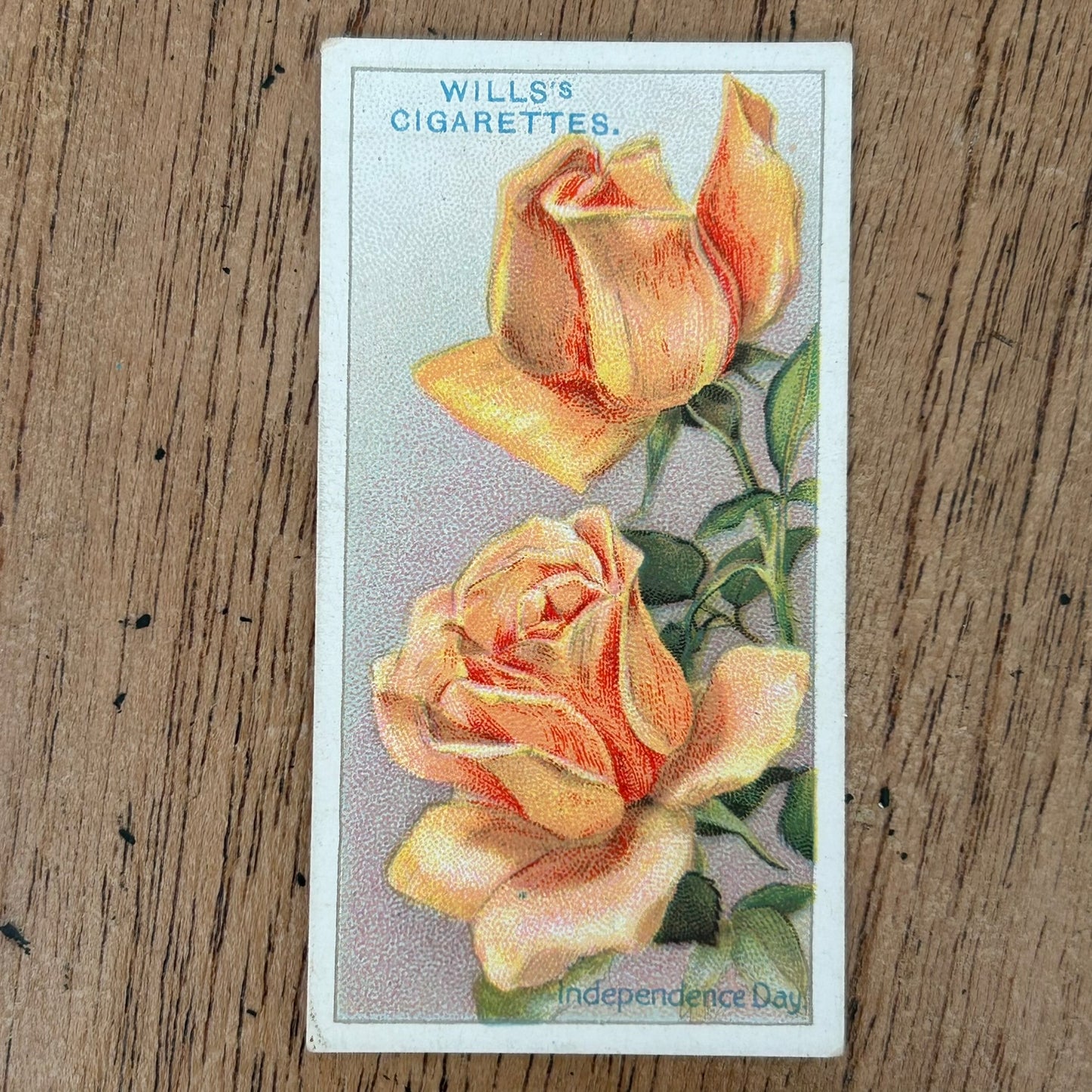 ROSES 1926 Wills Cigarette Cards - vintage rose pictures - sold individually