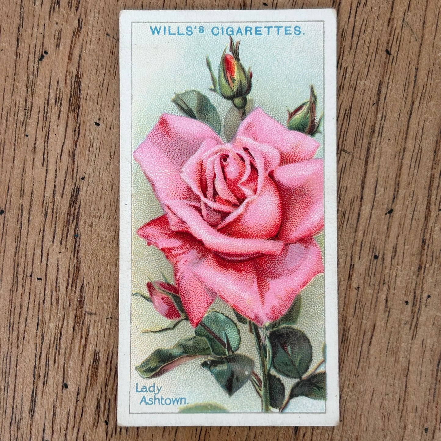 ROSES 1926 Wills Cigarette Cards - vintage rose pictures - sold individually