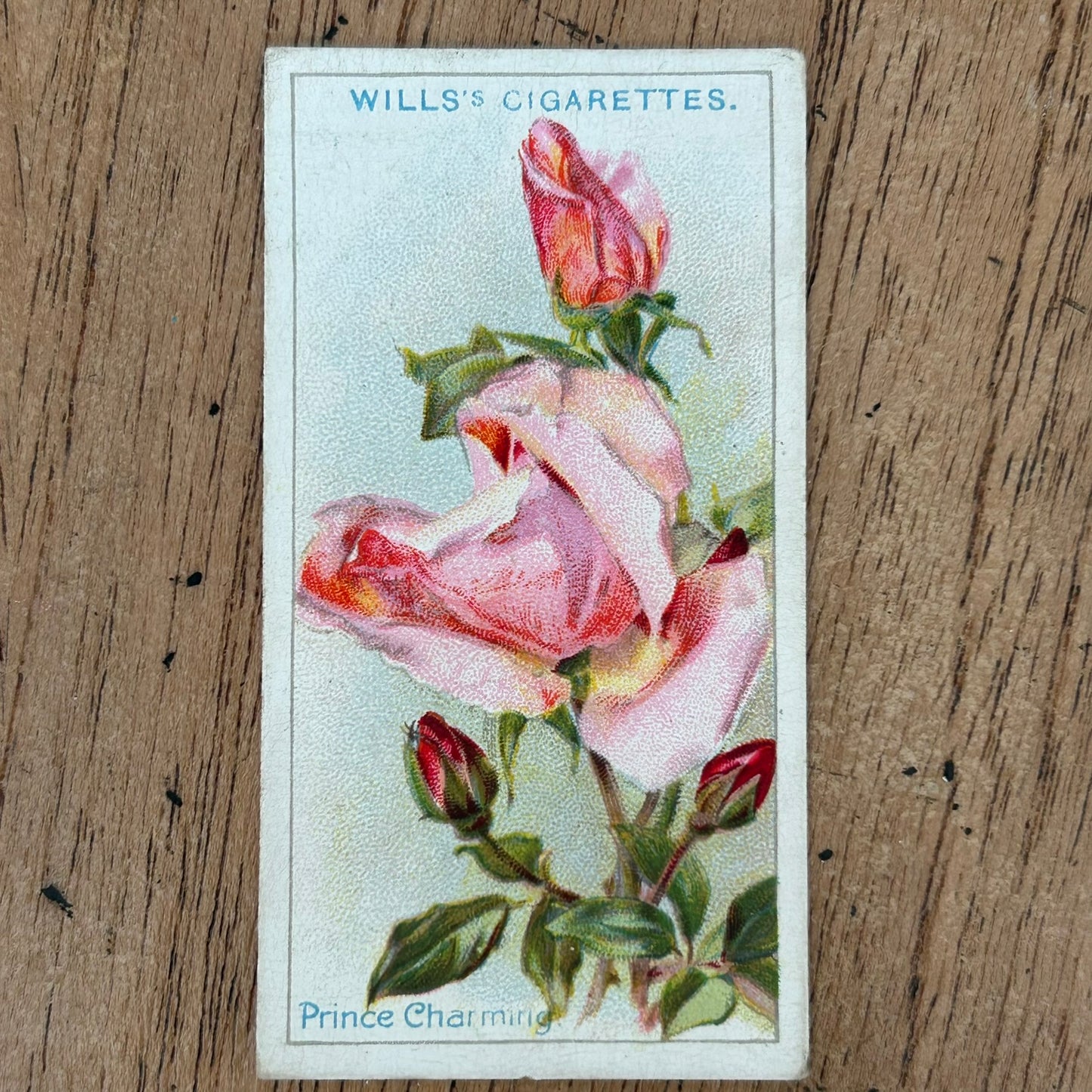 ROSES 1926 Wills Cigarette Cards - vintage rose pictures - sold individually