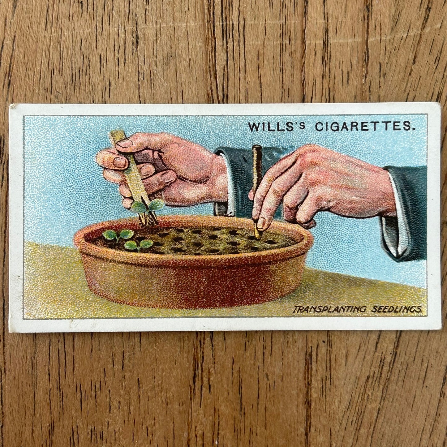 Wills Cigarette Cards GARDENING HINTS 1938. Sold individually so take your pick.