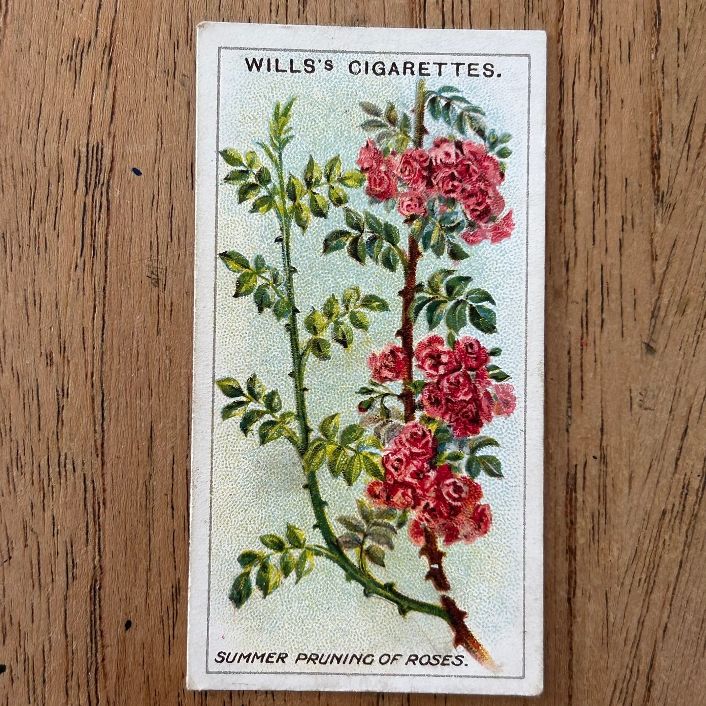 Wills Cigarette Cards GARDENING HINTS 1938. Sold individually so take your pick.