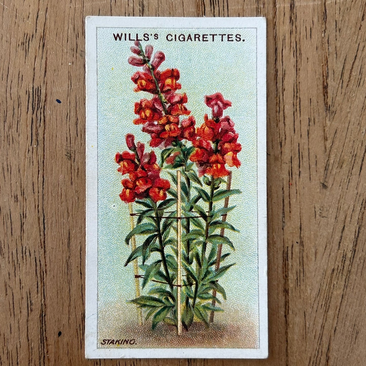 Wills Cigarette Cards GARDENING HINTS 1938. Sold individually so take your pick.
