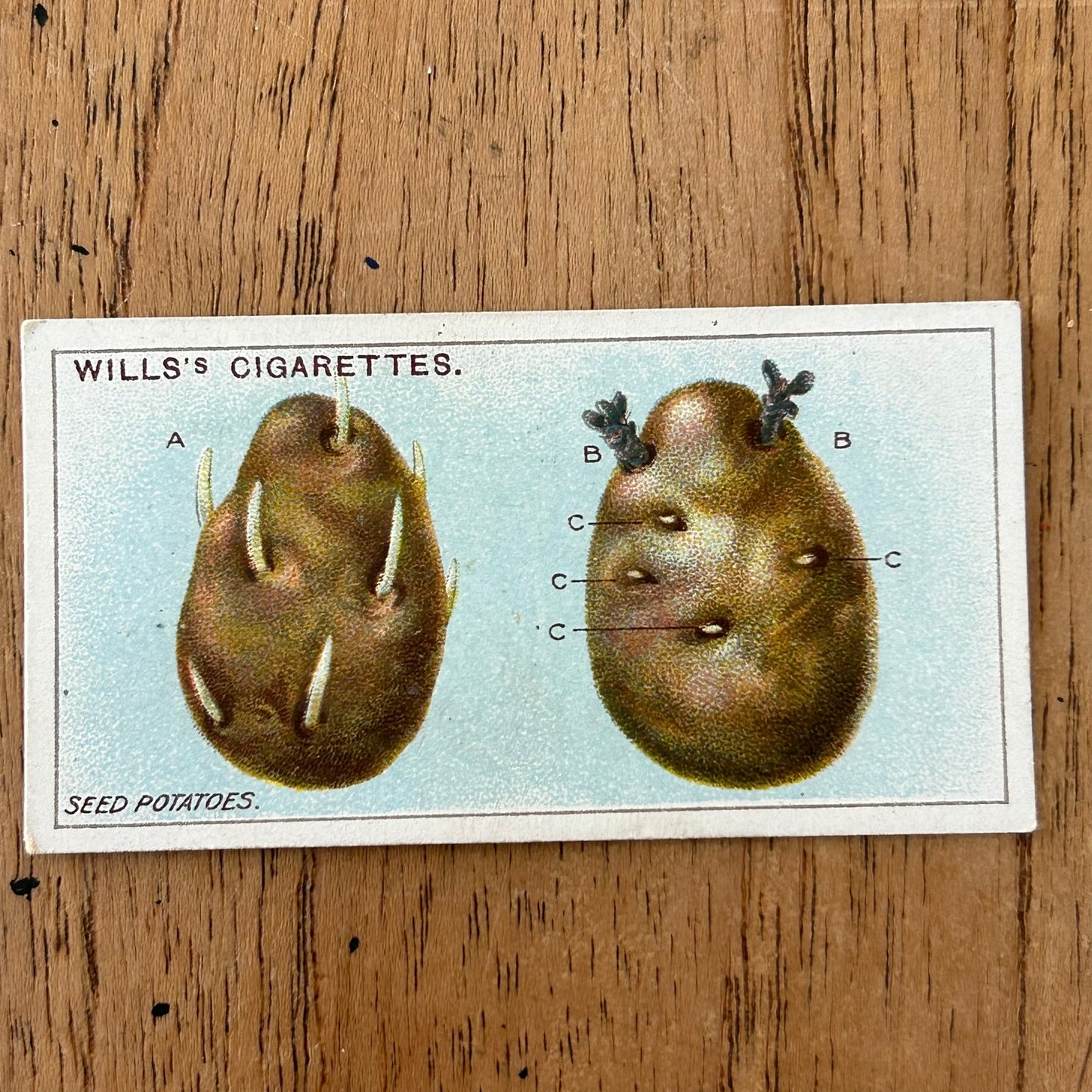 Wills Cigarette Cards GARDENING HINTS 1938. Sold individually so take your pick.