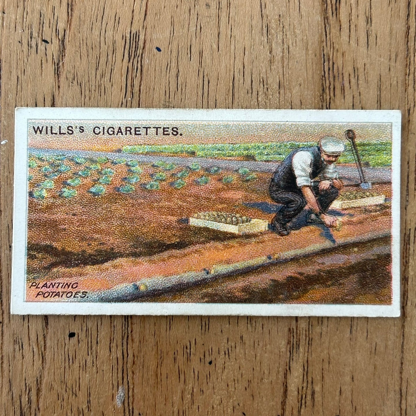 Wills Cigarette Cards GARDENING HINTS 1938. Sold individually so take your pick.