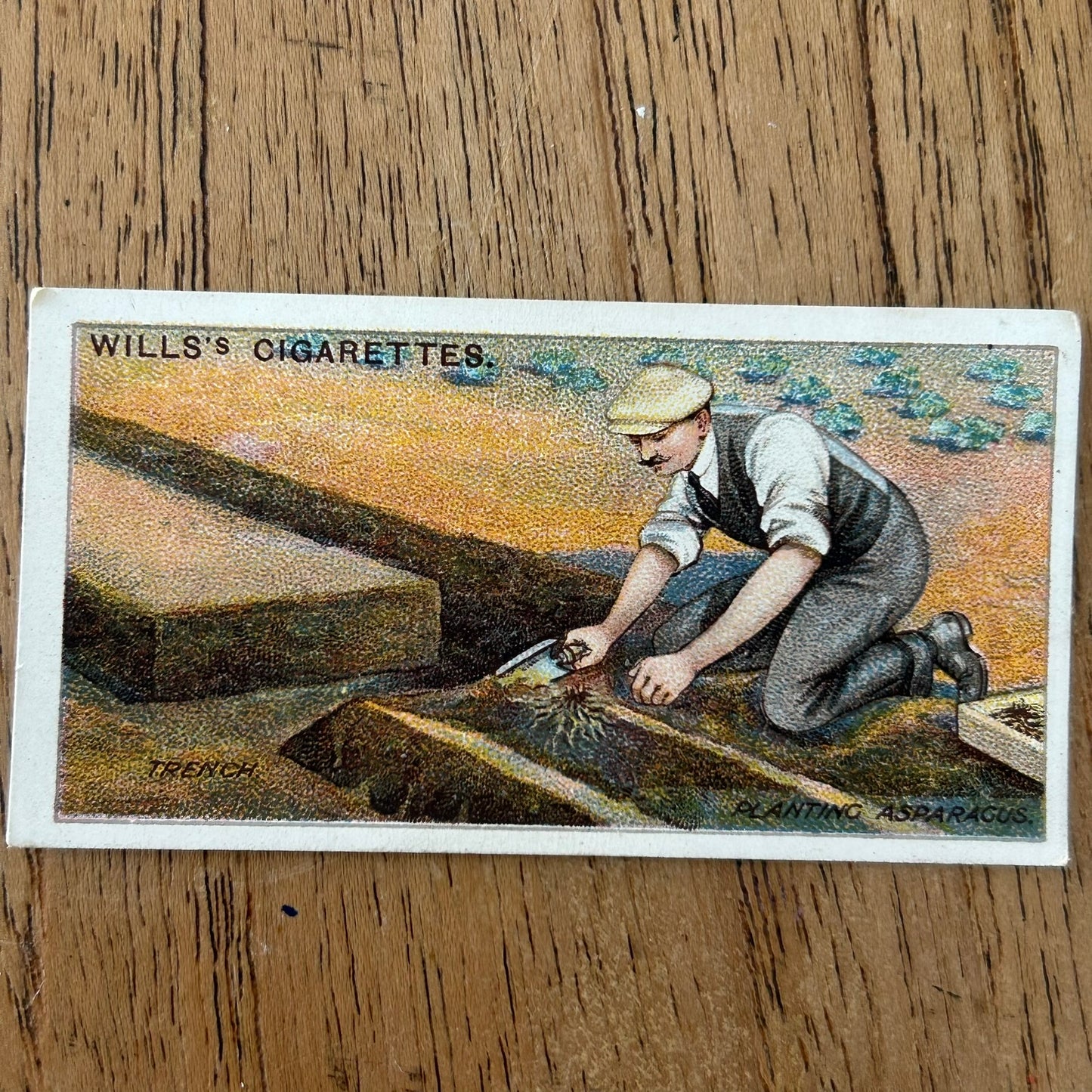 Wills Cigarette Cards GARDENING HINTS 1938. Sold individually so take your pick.