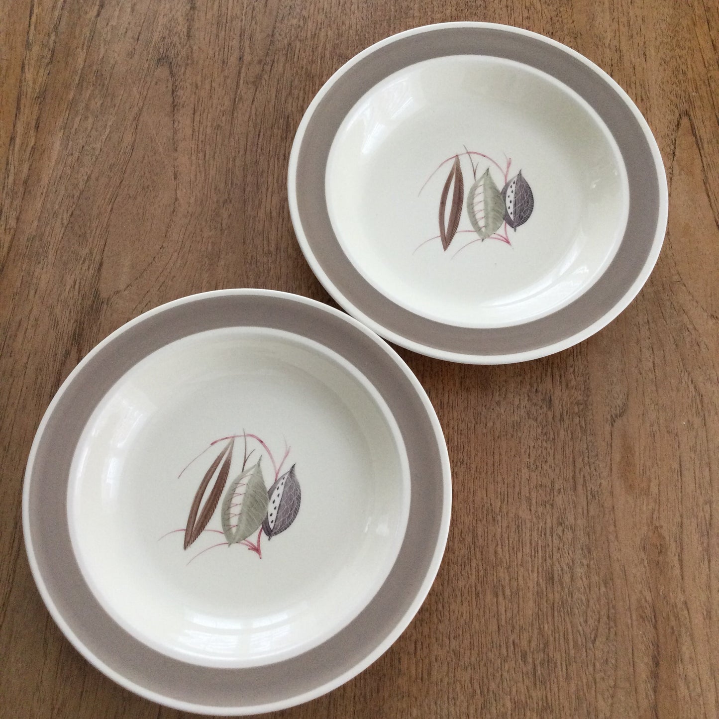 Vintage c.1930s Susie Cooper Windfall 2382 pattern pair of shallow soup / pudding / dessert dishes / bowls 9” cream brown leaf design autumnal