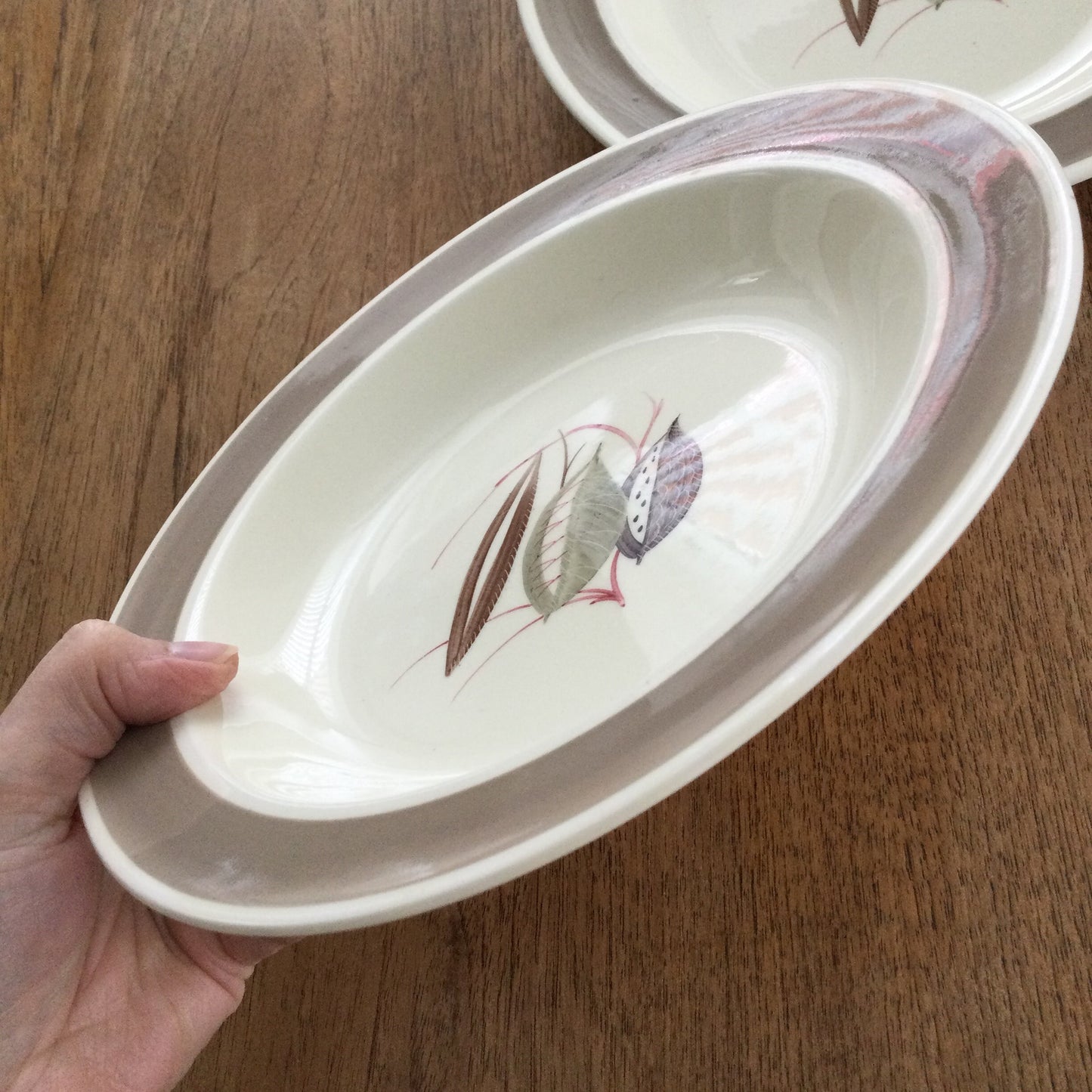Vintage c.1930s Susie Cooper Windfall 2382 pattern pair of shallow soup / pudding / dessert dishes / bowls 9” cream brown leaf design autumnal