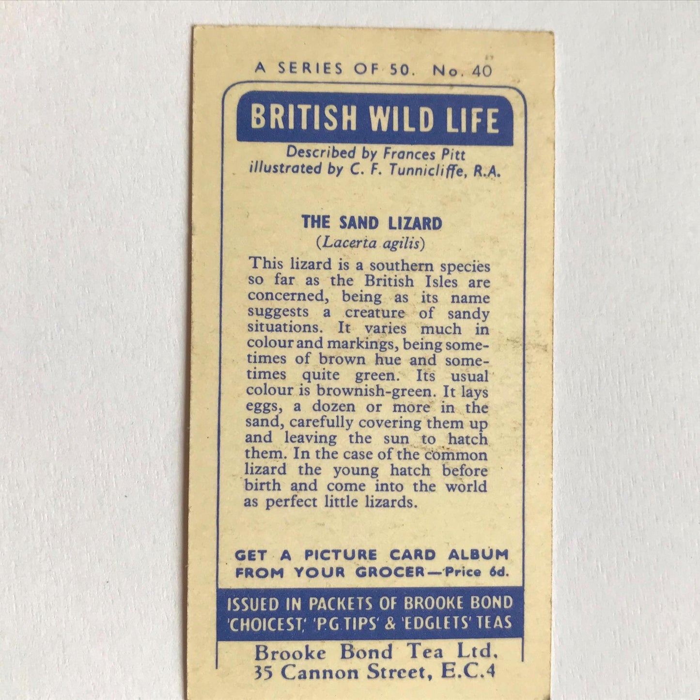 BRITISH WILD LIFE - Brooke Bond Tea Cards - Take your pick - wildlife pictures