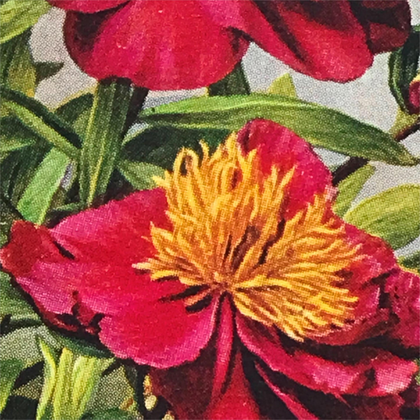 Wills Cigarette Cards GARDEN FLOWERS 1939 1930s - Pick! the ones you want