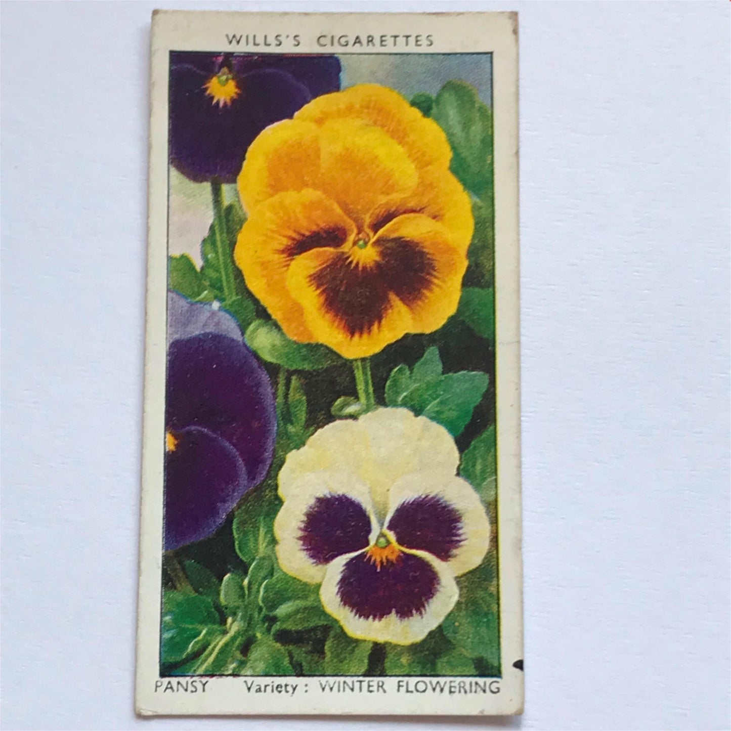 Wills Cigarette Cards GARDEN FLOWERS 1939 1930s - Pick! the ones you want