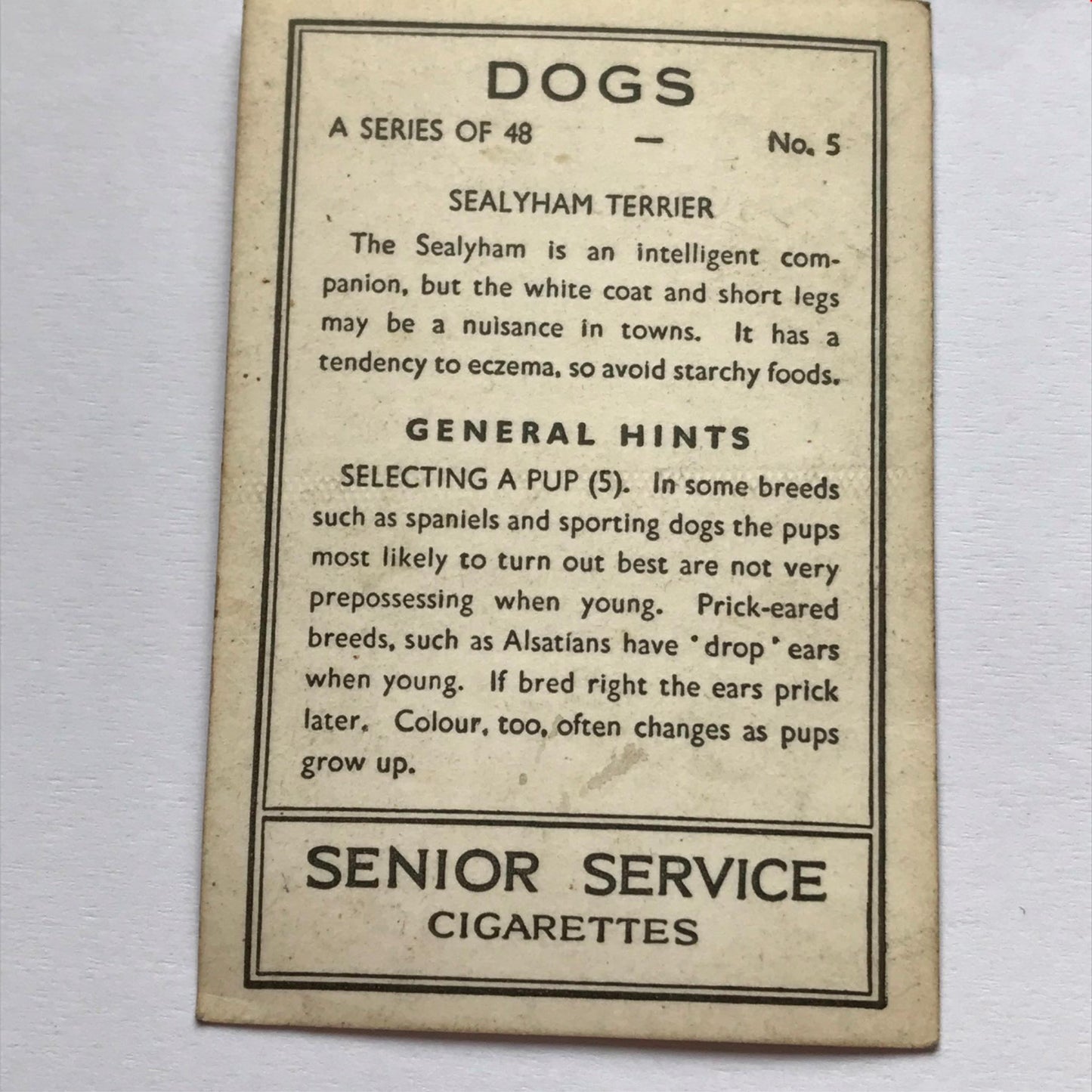 DOGS - SENIOR SERVICE CIGARETTE CARDS 1930S PHOTOS - take your pick
