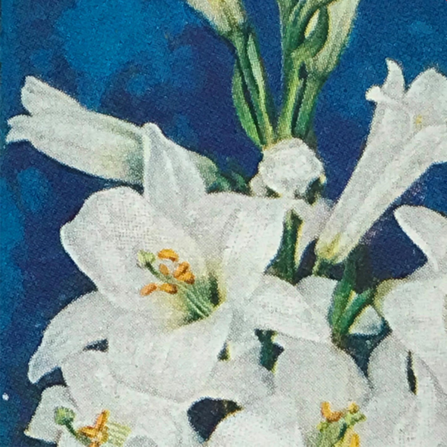 Wills Cigarette Cards GARDEN FLOWERS 1939 1930s - Pick! the ones you want