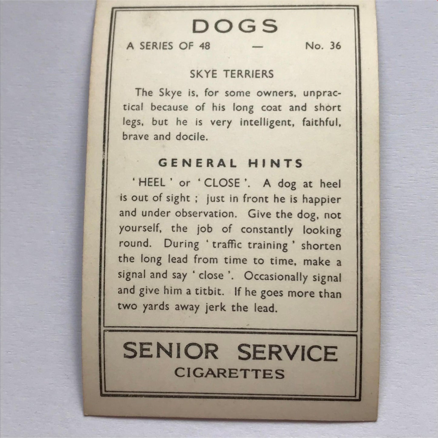 DOGS - SENIOR SERVICE CIGARETTE CARDS 1930S PHOTOS - take your pick