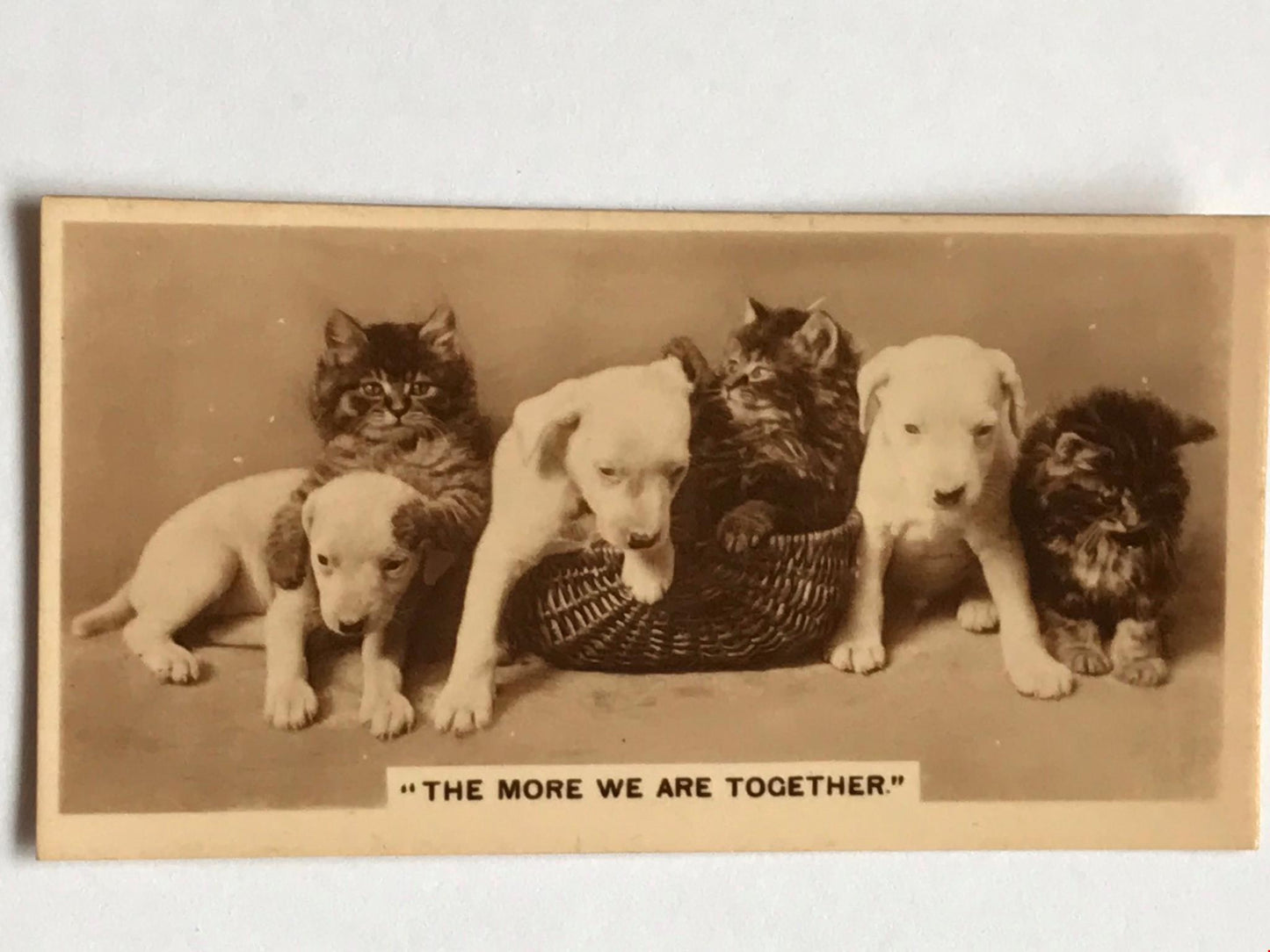Vintage De Reszke Cigarette Card - Series 5 No. 22 - 'The More We Are Together' - Puppies and kittens playing in basket