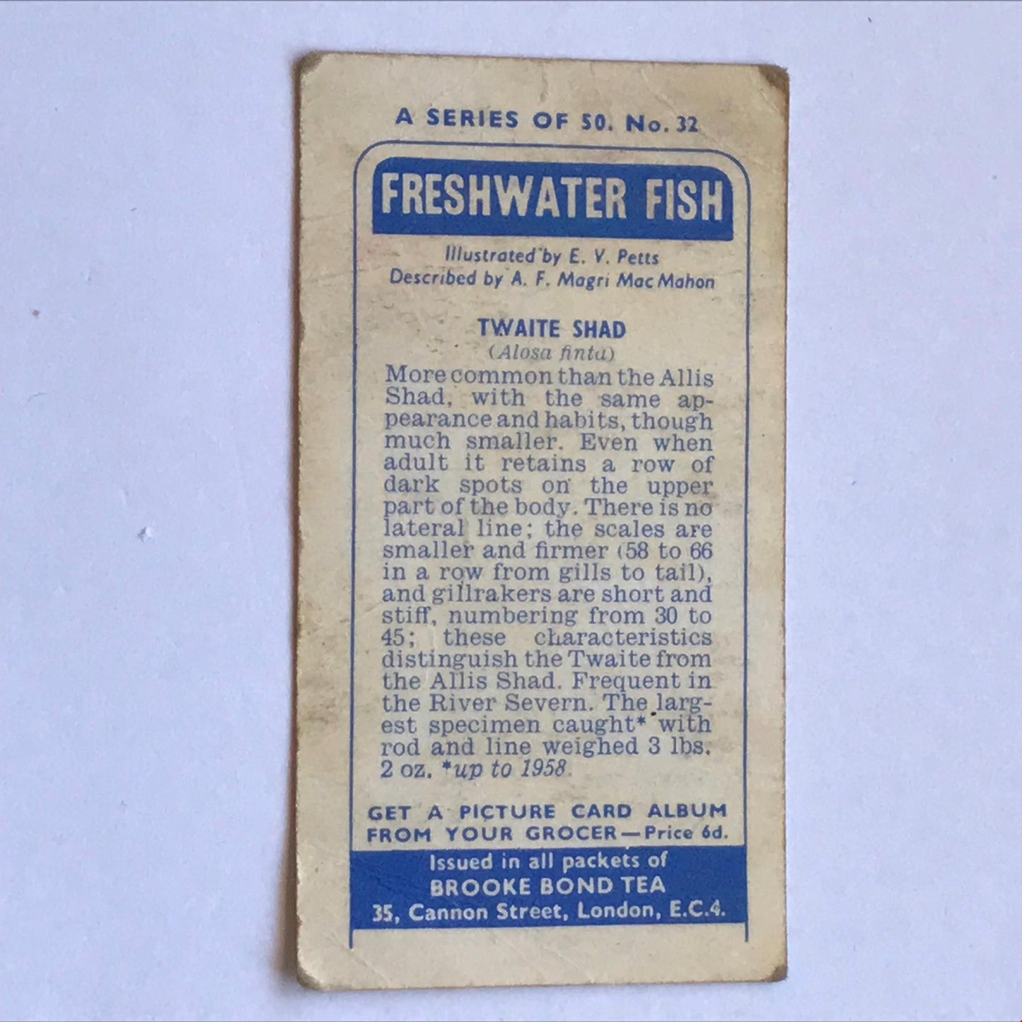 FRESHWATER FISH Brooke Bond Tea Cards 1960 Sold individually