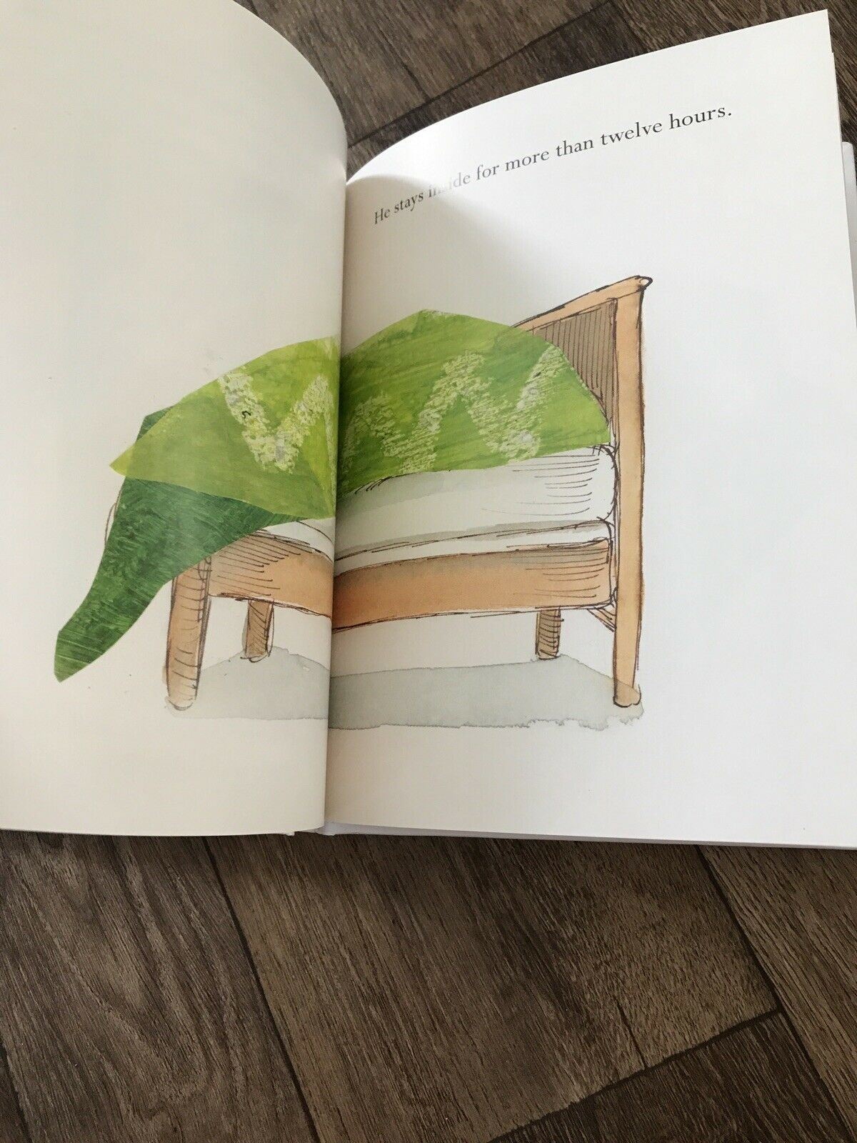 The Very Hungover Caterpillar - A Parody - Book - Funny Book About Drinking