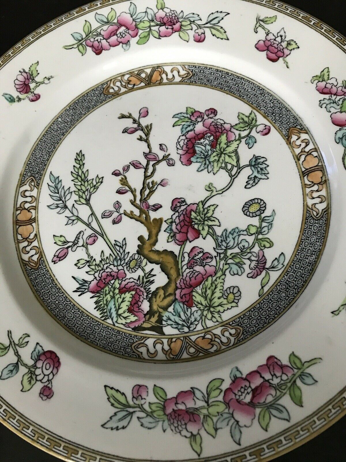Wedgwood & Co Unicorn Indian Tree 10" Dinner Plate. Vintage. Pink Green. Floral. Pretty