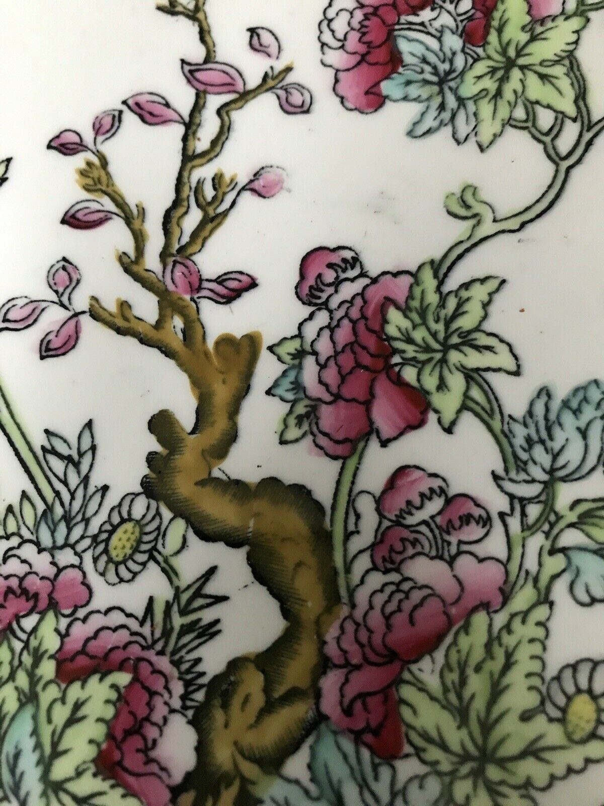 Wedgwood & Co Unicorn Indian Tree 10" Dinner Plate. Vintage. Pink Green. Floral. Pretty