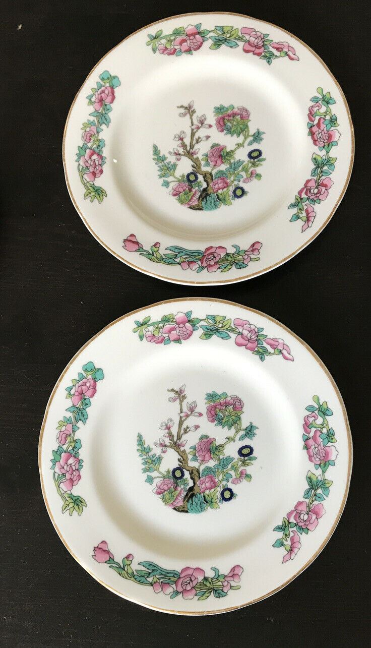 Pair Of Vintage Side Plates Tea Plates. Indian Tree. Sheltonian. Bone China