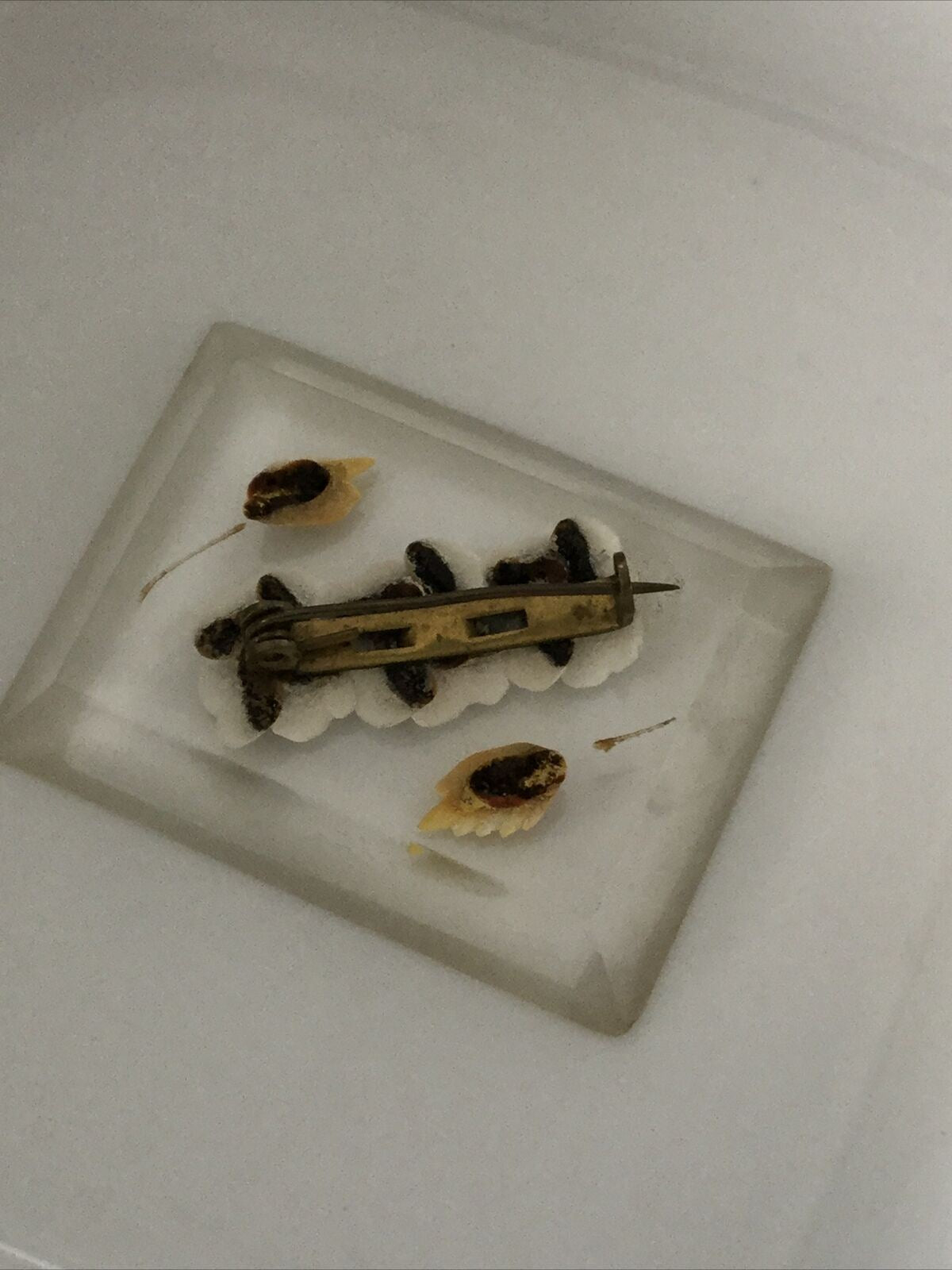 Vintage 40s 50s Oblong Floral Brooch Pin Jewellery. Reverse Carved. Lucite.