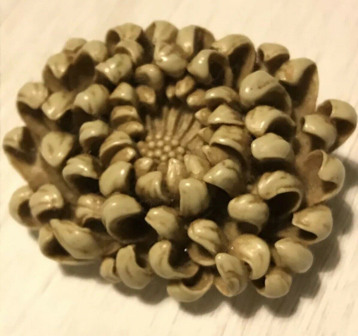VINTAGE BROOCH Resin/early Plastic. Large Flower Chrysanthemum. 3D. Sculptural.
