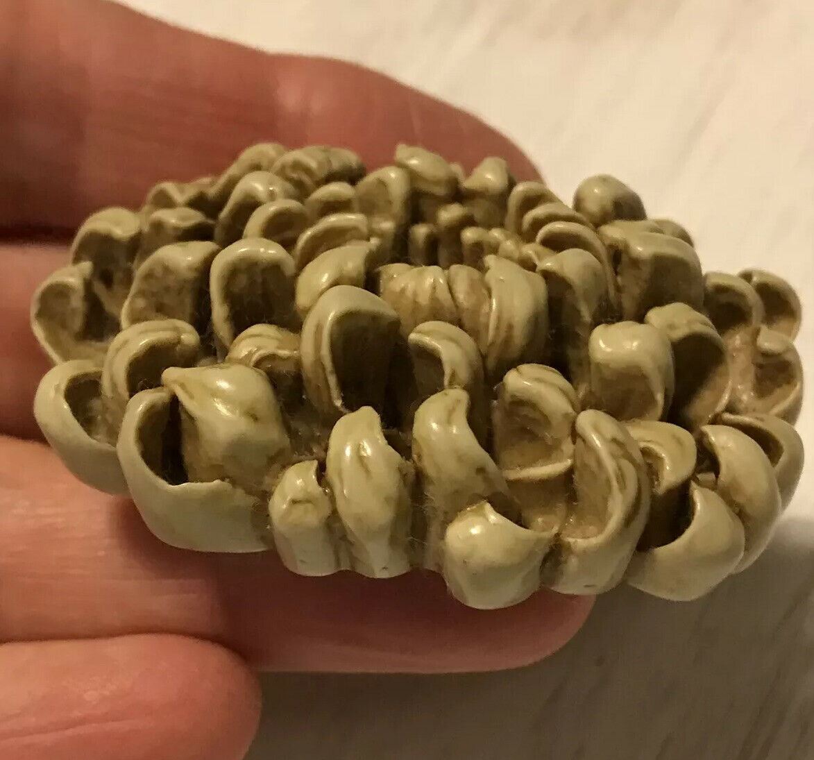VINTAGE BROOCH Resin/early Plastic. Large Flower Chrysanthemum. 3D. Sculptural.
