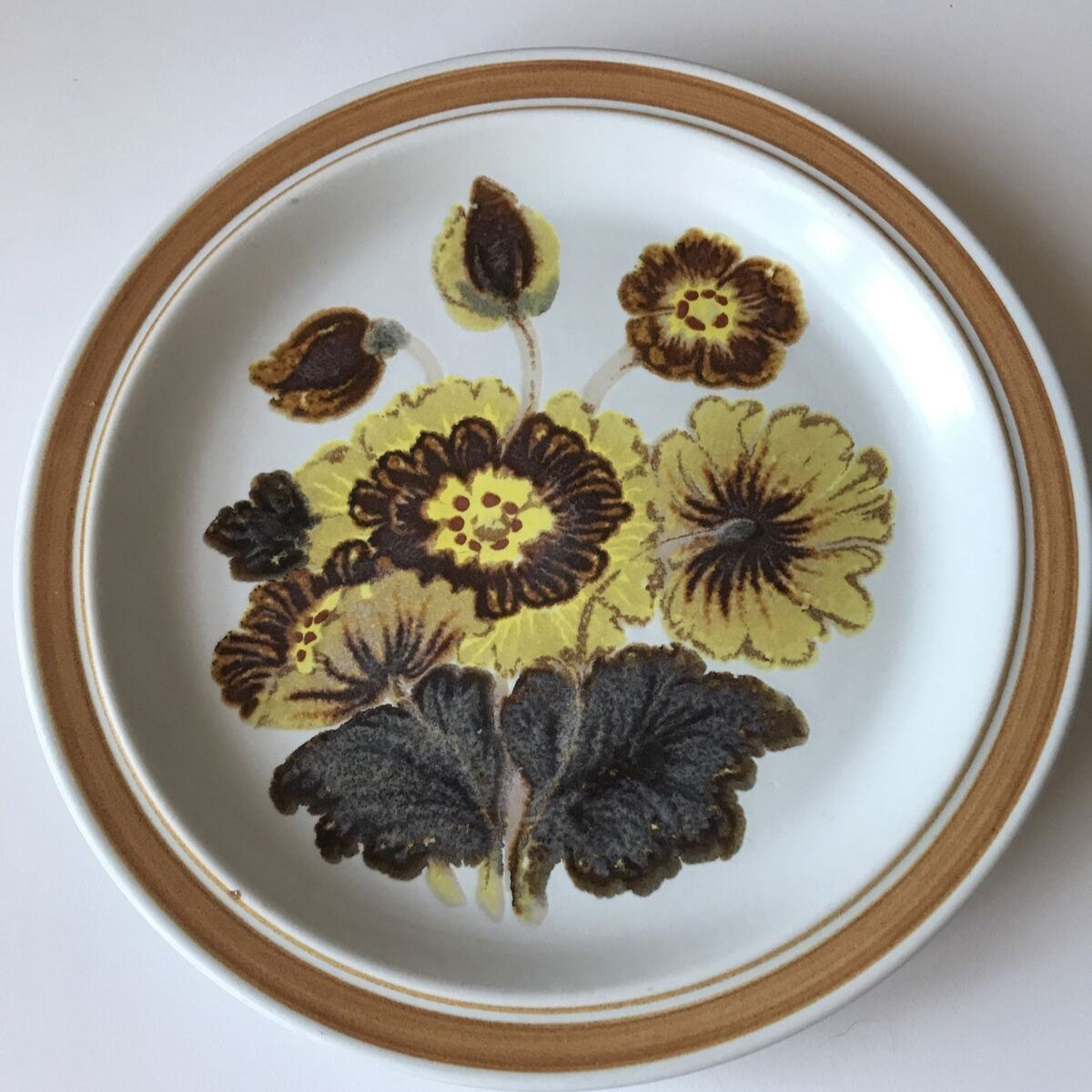 Vintage Royal Doulton Forest Glen 9" Dessert / Small Dinner / Luncheon Plate - Retro Lambeth 1973 70s Brown Yellow