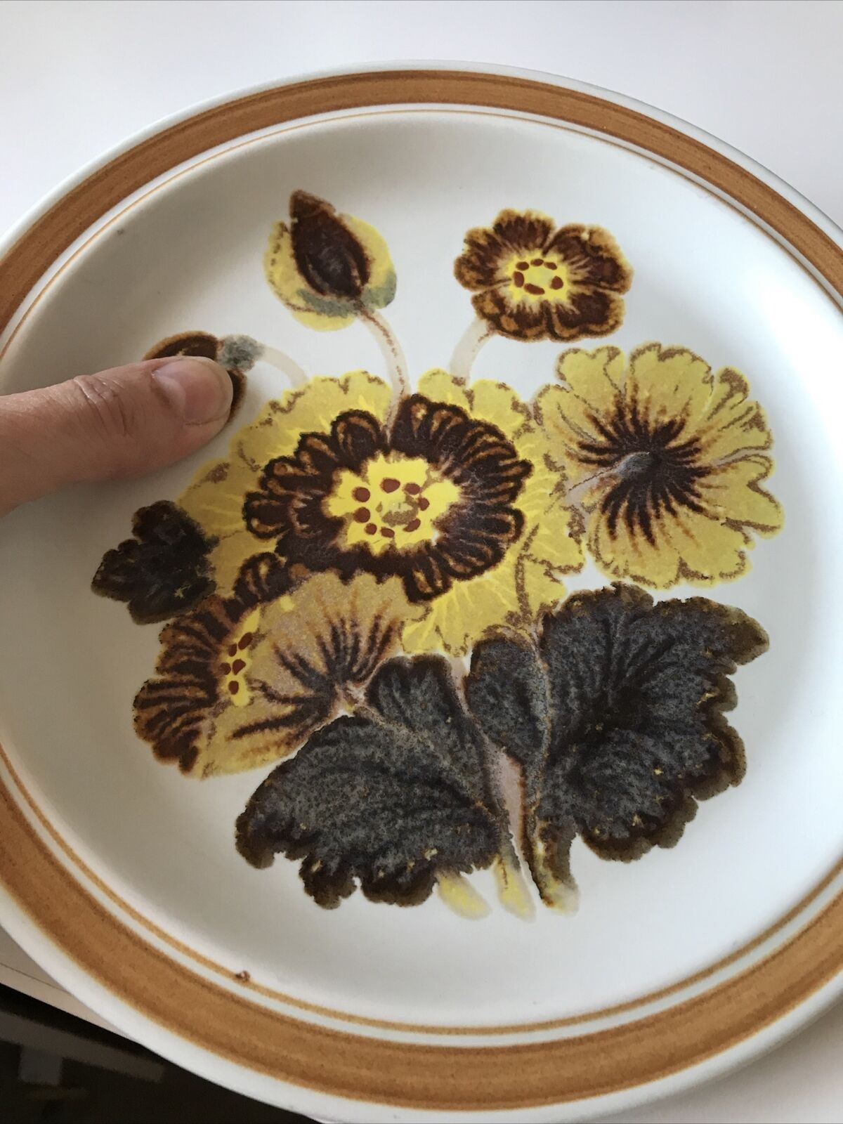 Vintage Royal Doulton Forest Glen 9" Dessert / Small Dinner / Luncheon Plate - Retro Lambeth 1973 70s Brown Yellow
