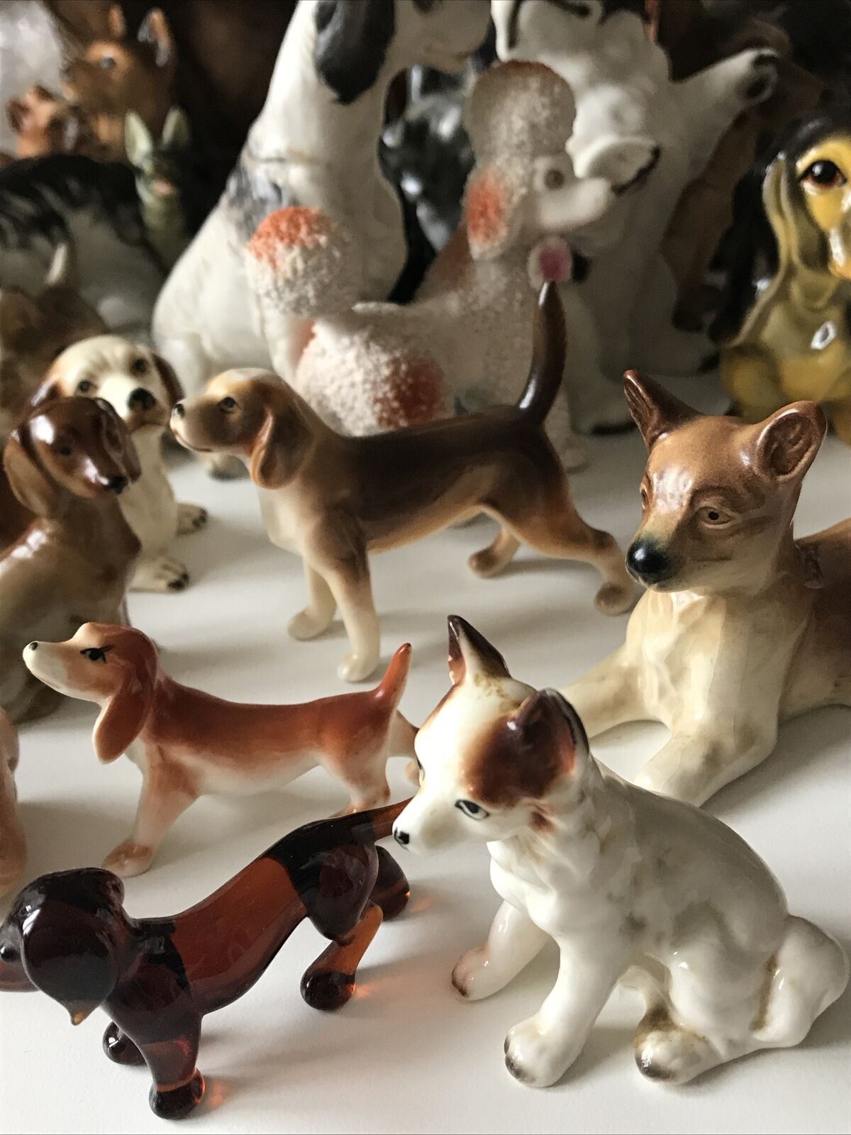 Sweet Little Chihuahua Dog Ornament Figurine. Vintage. 5cm High. White With Brown Ears