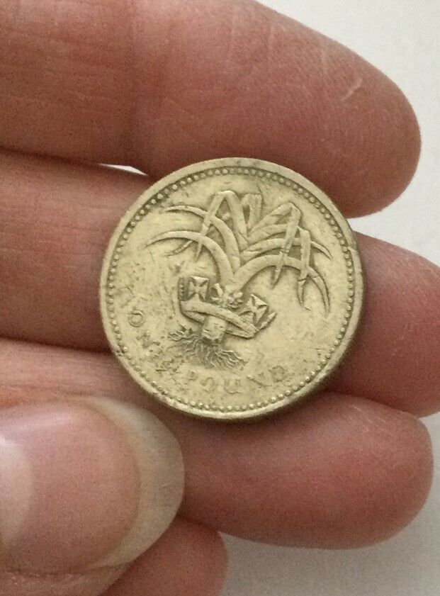 1990 UK ROYAL MINT - WALES; LEEK & DIADEM ONE POUND COIN £1 circulated