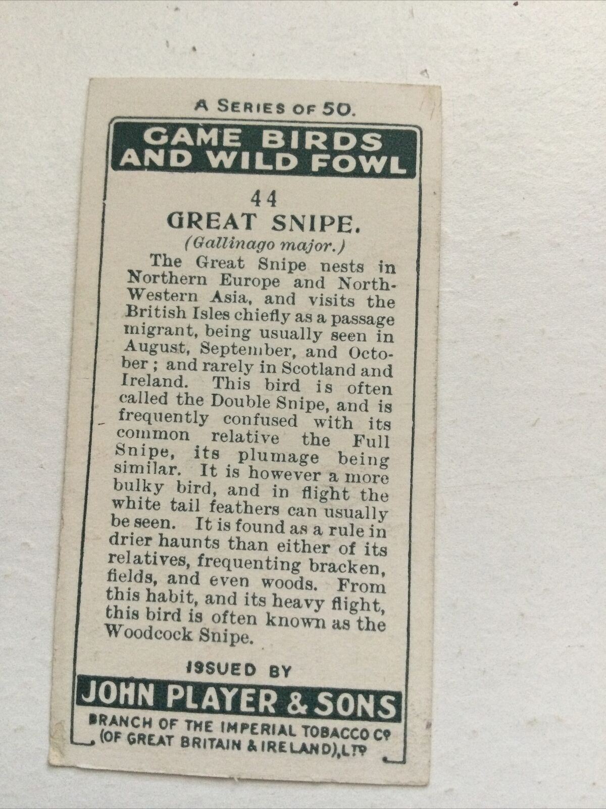 Players Cigarette Card - Game Birds & Wild Fowl - No. 44 - Great Snipe - 1927