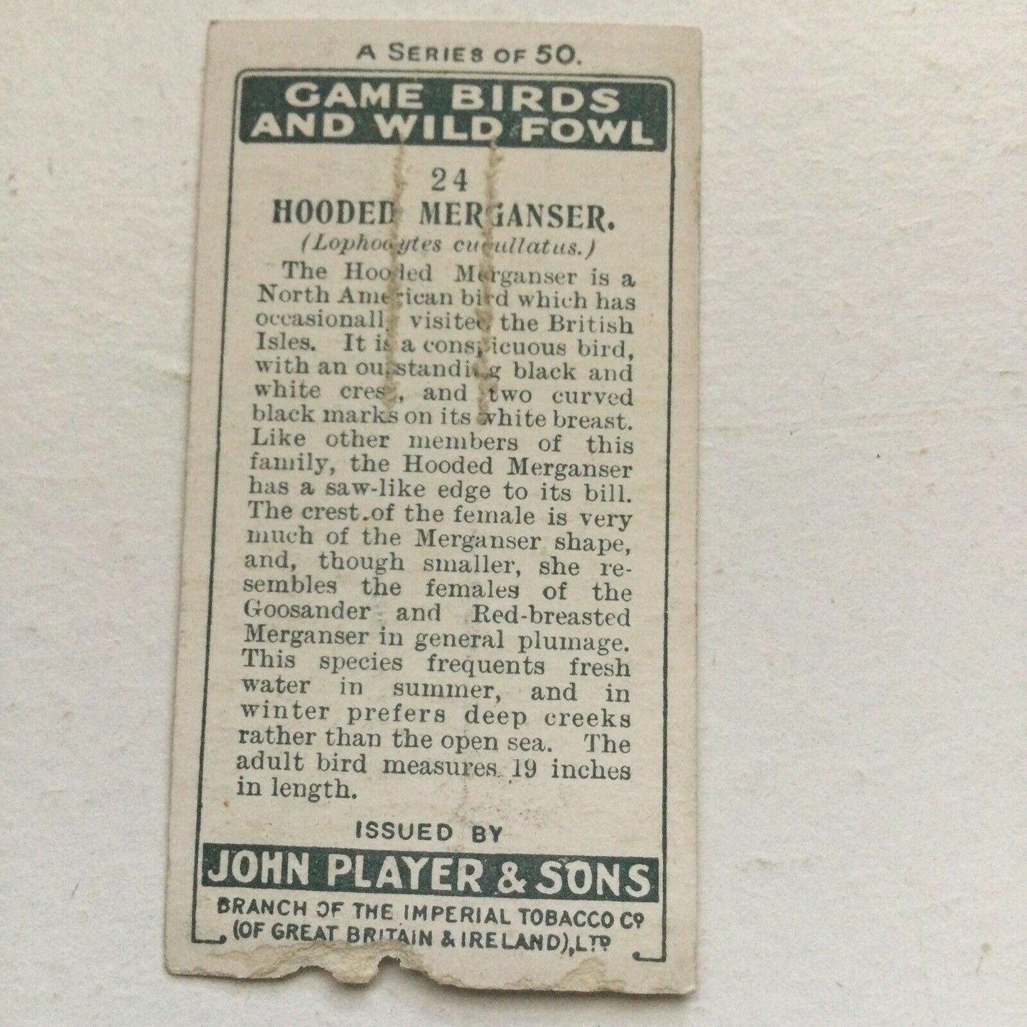 Players Cigarette Card - Game Birds & Wild Fowl - No. 24 Hooded Merganser - DAMAGED