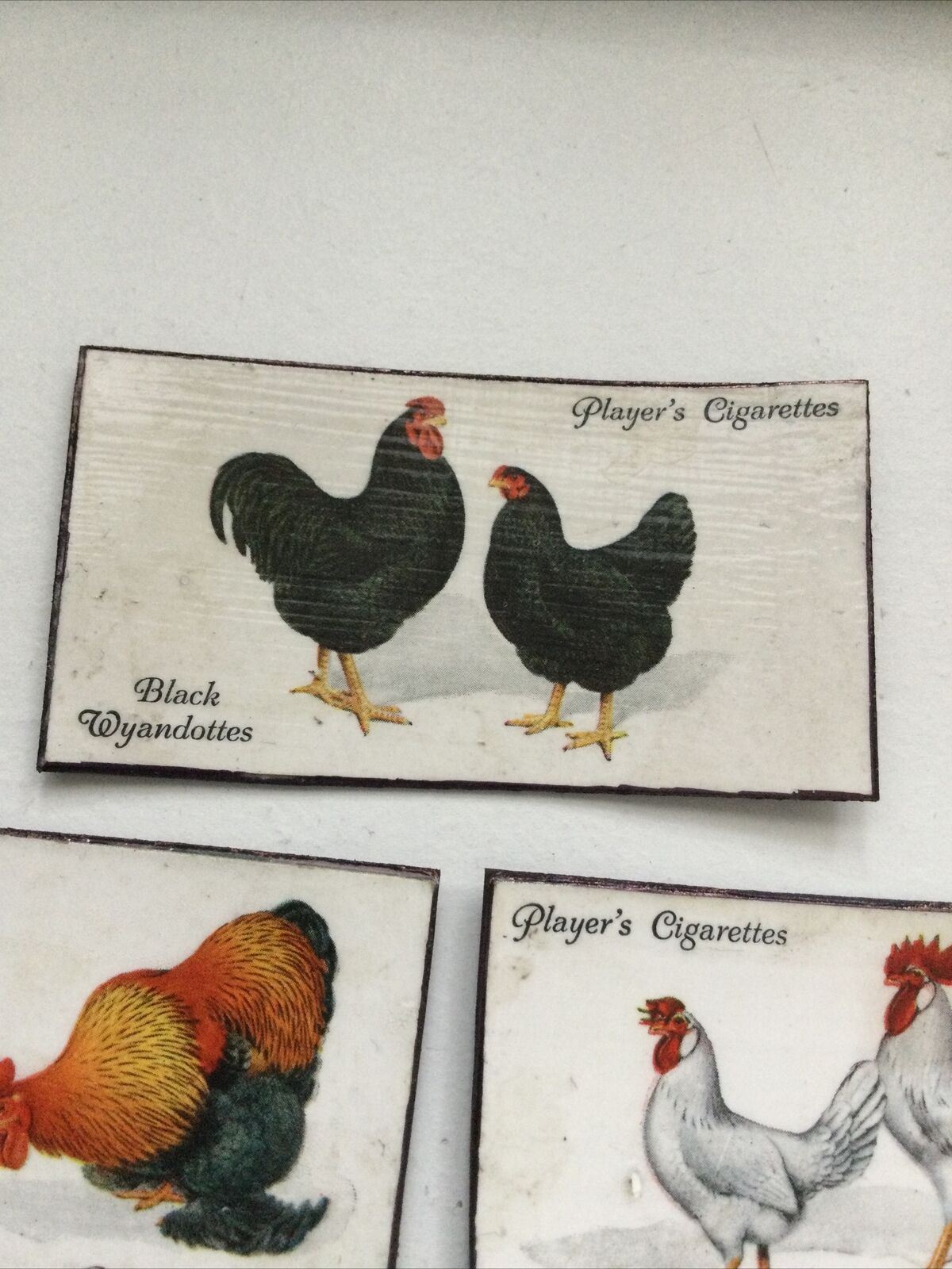 Set of 7 fridge Magnets Made From Vintage Cigarette Cards Poultry Hens 1931