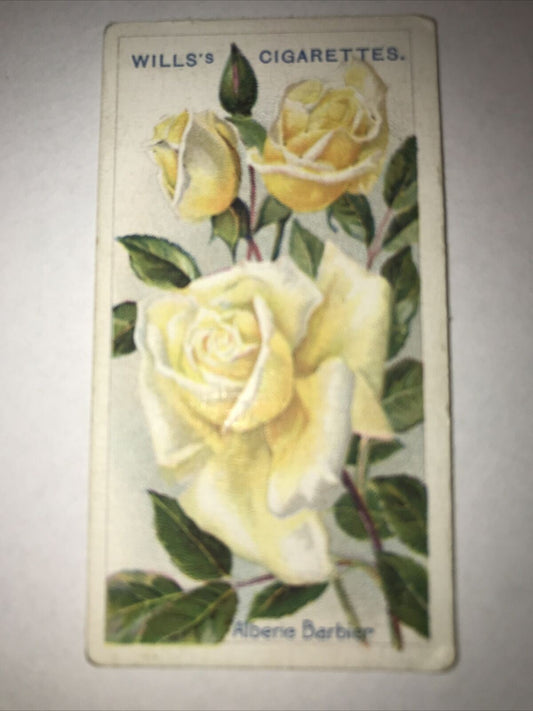 Wills Cigarette Card Roses No57 Alberic Barbier 2nd Series